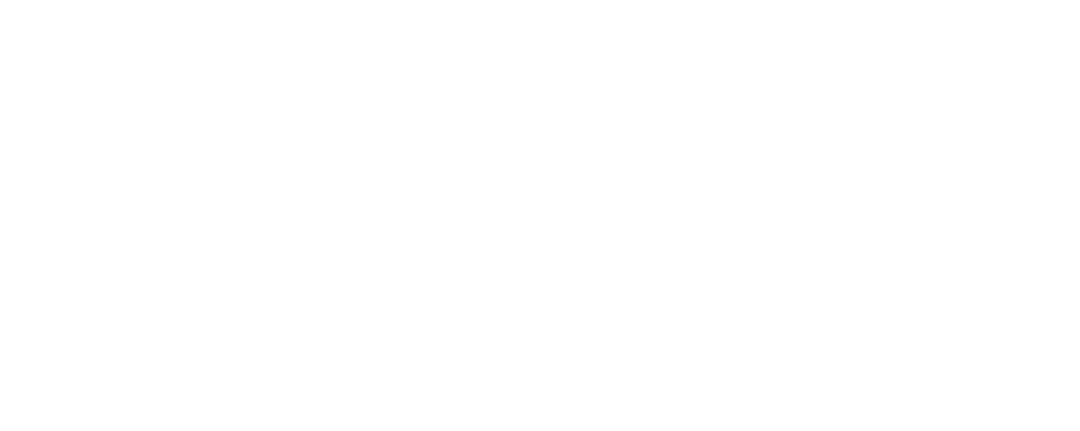 FleetParQ